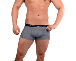 Fotoja e Brekë Tommy Hilfiger UM0UM00364-416, L