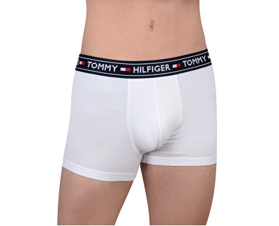 Fotoja e Brekë Tommy Hilfiger  White UM0UM00515 -100, M, man