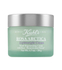 Fotoja e Krem anti-plakje për lëkurë Kiehl's Rosa Arctica 50 ml, Picture 1