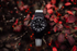 Fotoja e Orë dore Casio The G/G-Shock GA 700EH-1A, Picture 5