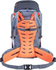 Fotoja e Çantë për hiking Salewa Alptrek Ws 38 l + 5 l, Picture 2