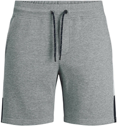 Fotoja e Shorce Jack&Jones JPST LOGO, të hirta, S
