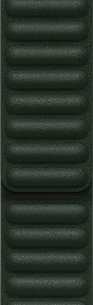 Fotoja e Apple Watch 41mm Band, Sequoia Green Leather Link - M/L