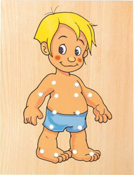 Fotoja e Lodër prej druri Woodyland