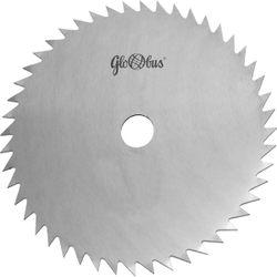 Fotoja e Disk Wapienica, 160 mm