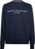 Fotoja e Duks Tommy Hilfiger Regular Fit MW0MW11596DW5, L, Picture 1
