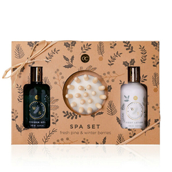 Fotoja e Set Accentra Winter Spa - Xhel dushi Winter Spa 100 ml + Krem trupi Winter Spa 100 ml + Furçë masazhi