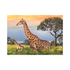 Fotoja e Puzzle Dino Giraffe Family, 1000 pjesë, 15+ vjeç, Picture 4