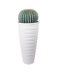 Fotoja e Lule artificiale Verde Decor Echino Cactus, 50 cm