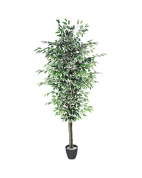 Fotoja e Lule artificiale Verde Decor Ficus Variegate Tree, 180 cm