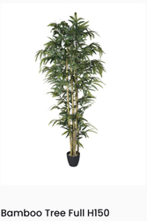 Fotoja e Lule artificiale Verde Decor Bamboo Tree Full, 150cm