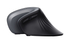 Fotoja e Maus Trust Verro, RF Wireless, i zi, Picture 4