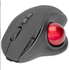 Fotoja e Maus - DIGITUS ERGONOMIK MAUS WIRELESS, Picture 2