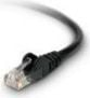 Fotoja e Kabllo NetRack Patchcord Cat5e, UTP, 0.5 m, e zezë