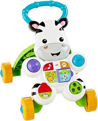 Fotoja e Lodër për ecje Fisher-Price Zebra (DPL53)