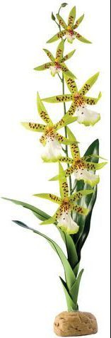 Fotoja e Bimë dekoruese për akuarium Hagen Exoterra Orchid, 42cm, e gjelbër