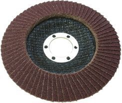 Fotoja e Disk Proline Flap (44859), 180 mm gr 60