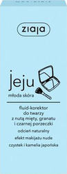 Fotoja e Krem fshehës Ziaja Fluid