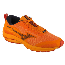 Fotoja e Atlete për meshkuj Mizuno Wave Rider GTX 46