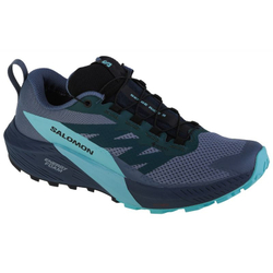 Fotoja e Atlete për meshkuj Shoes Salomon Sense Ride 5 GTX 44 2/3
