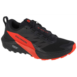 Fotoja e Atlete për meshkuj Shoes Salomon Sense Ride 5 44 2/3