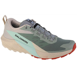 Fotoja e Atlete për meshkuj Shoes Salomon Sense Ride 5 44