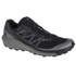 Fotoja e Atlete për meshkuj Shoes Salomon Sense Ride 4 GTX 48, Picture 5