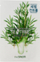 Fotoja e Maskë për fytyrë theSaem Shee Tea Tree Refreshing, 21ml, Picture 1