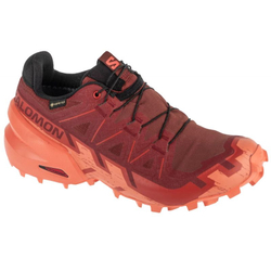 Fotoja e Atlete për femra Salomon Speedcross 6 GTX W 475843 38