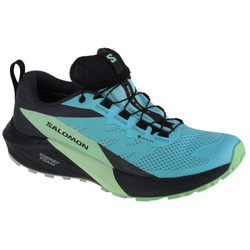 Fotoja e Atlete për femra Salomon Sense Ride 5 GTX W 472160 38