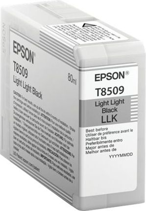 Fotoja e Ngjyrë për printer Epson UltraChromeHD, e zezë