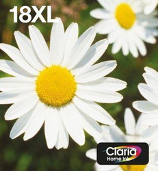 Fotoja e Ngjyrë Epson 18XL C13T18164511, e zezë/cian/magenta/e verdhë
