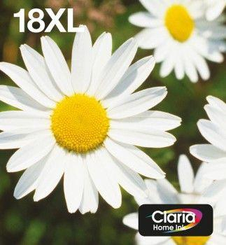 Fotoja e Ngjyrë Epson 18XL C13T18164511, e zezë/cian/magenta/e verdhë