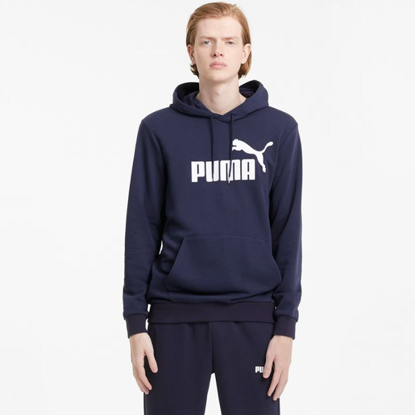 Fotoja e Duks për meshkuj Puma Essential Big Logo TR 06, S