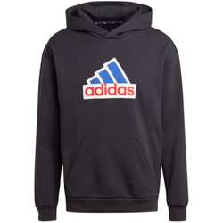 Fotoja e Bluzë për meshkuj Adidas FI Bos Hd Oly, M