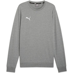 Fotoja e Bluzë për meshkuj Puma Team Goal Casuals Neck 33, S