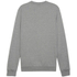 Fotoja e Bluzë për meshkuj Puma Team Goal Casuals Neck 33, S, Picture 4