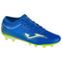 Fotoja e Atlete Futbolli për meshkuj Joma Evolution FG, 40, Picture 1