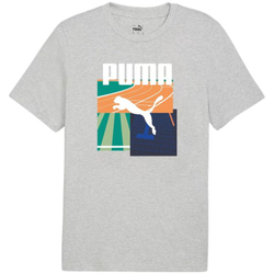 Fotoja e Maicë për meshkuj Puma Graphics Summer Sports II 04, L