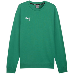 Fotoja e Bluzë për meshkuj Puma Team Goal Casuals Neck 05, S