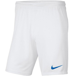 Fotoja e Shorce për fëmijë Nike Y Park III, M (137-147cm)