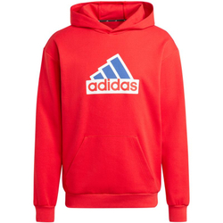 Fotoja e Bluzë për meshkuj Adidas FI Bos Hd Oly, S