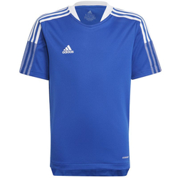 Fotoja e Maicë për fëmijë adidas Tiro 21 Tr Jsy Y, 128 cm