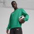 Fotoja e Bluzë për meshkuj Puma Team Goal Casuals Neck 03, S, Picture 7