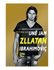 Fotoja e Une Jam Zlatan Ibrahimovic - David Lagercrantz, Picture 1