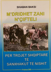 Fotoja e Mdridhet Zani N Cifteli - Shaban Baksi
