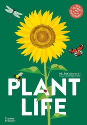 Fotoja e Plant Life - Helene Druvert