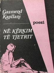 Fotoja e Ne Kerkim Te Tjetrit - Gazmend Kapllani