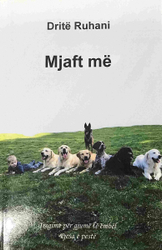 Fotoja e Mjaft Me - Drite Ruhani