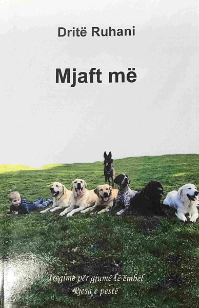 Fotoja e Mjaft Me - Drite Ruhani